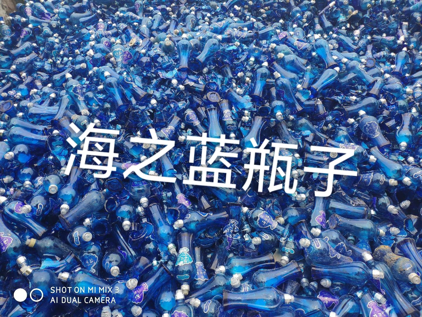 响水海之蓝瓶回收