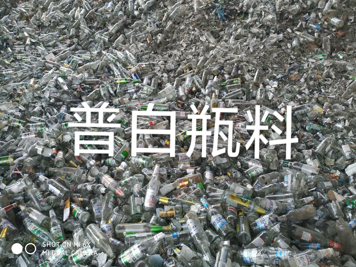 响水普白瓶料回收